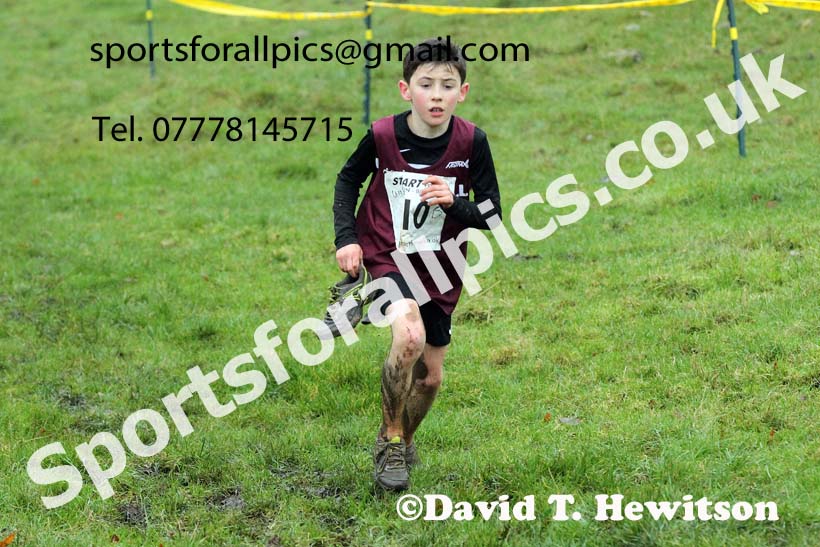 Boys under-13s, NECAA Junior Cross Country Relays, Thornley Farm, Peterlee, Saturday, December 12th. Photo: David T. Hewitson/Sports for All Pics
